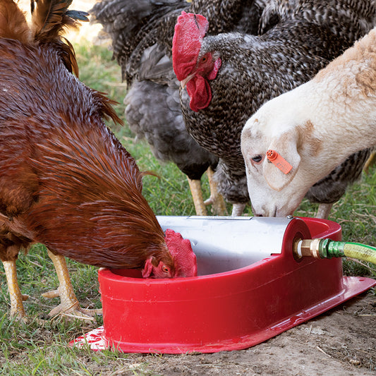 Waterer Kane Portable, 2 Sided Red