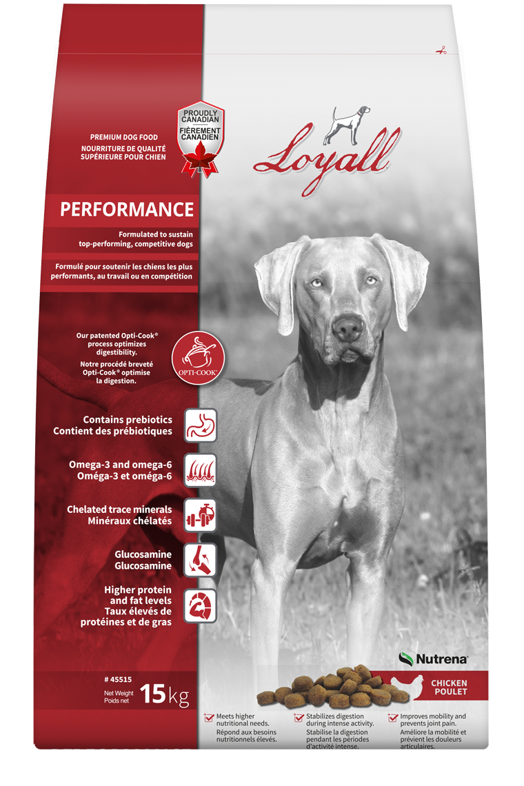 Dog Food  Loyall Performance  15 Kg