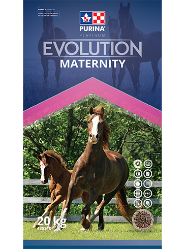Horse Feed  Purina  Evolution Maternity 20 Kg