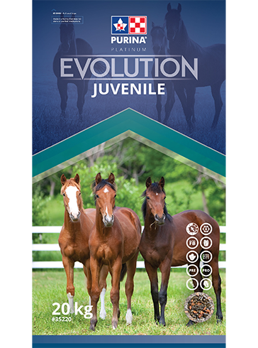 Horse Feed  Purina  Evolution Juvenile 20 Kg