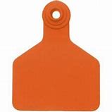 Z Tag Red Cow Bag/25