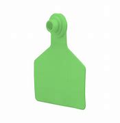 Z Tags  Z2 2 Pc  No Tear  Maxi (25/Bag)