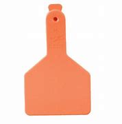 Z Tags L/N Calf Bag/25