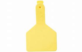 Z Tags L/N Calf Bag/25