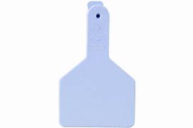 Z Tags L/N Calf Bag/25
