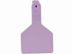Z Tags L/N Calf Bag/25