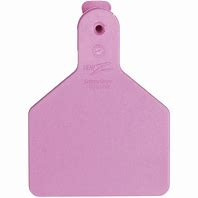 Z Tags Calf 25/Bag