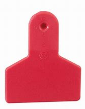 Z Tags Small (50/Bag)