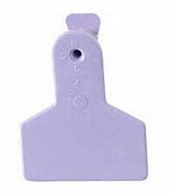 Z Tags Small (50/Bag)