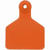 Z Tags  Z2 2 Pc  No Tear  Large  Orange (25/Bag)