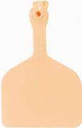 Z Tags Feedlot Bag/50