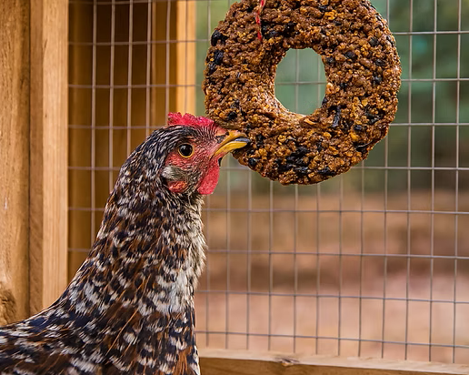 Simply Grubs Flock Block 15Cm