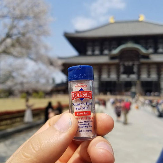 Redmond Real Salt Pocket Shaker For Travel 6 G