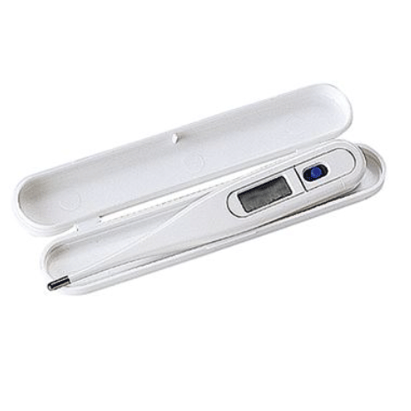 Thermometer Electronic Farenheit
