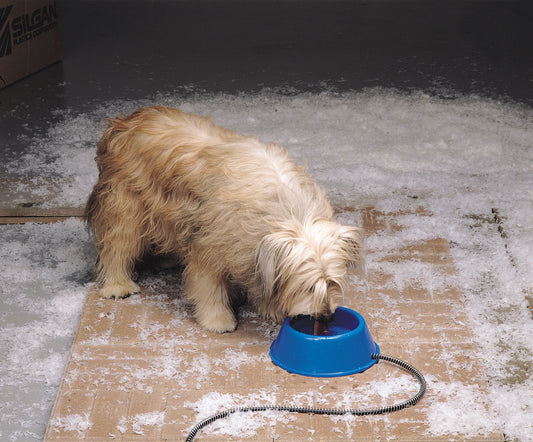 Dog Heated Pet Bowl 1Qt