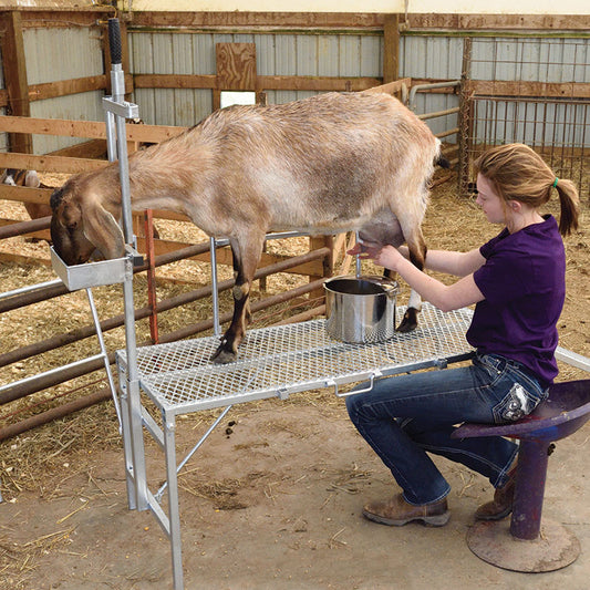 Trimming Stand With Headpiece Only