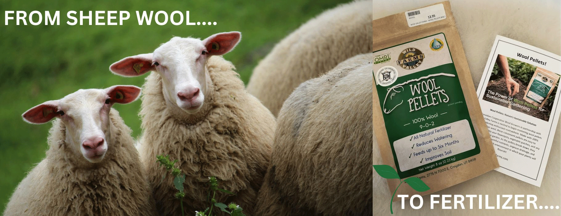 CCWG Livestock Supplies - Lethbridge photo 5